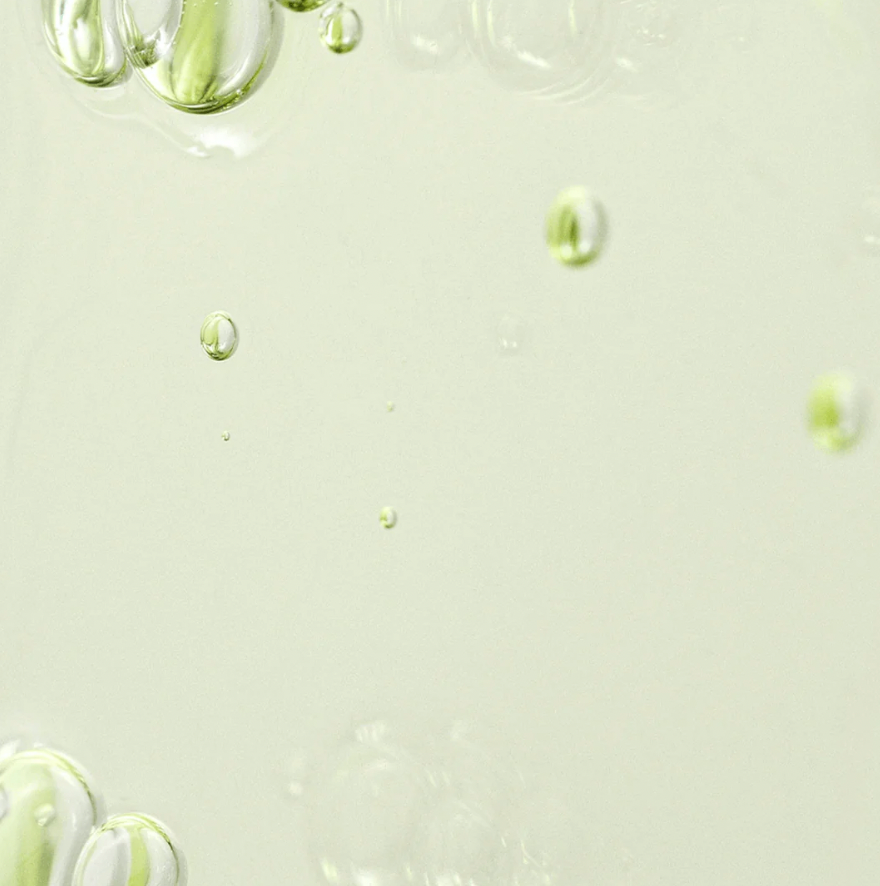 [Beauty of Joseon] Calming Serum Green Tea + Panthenol