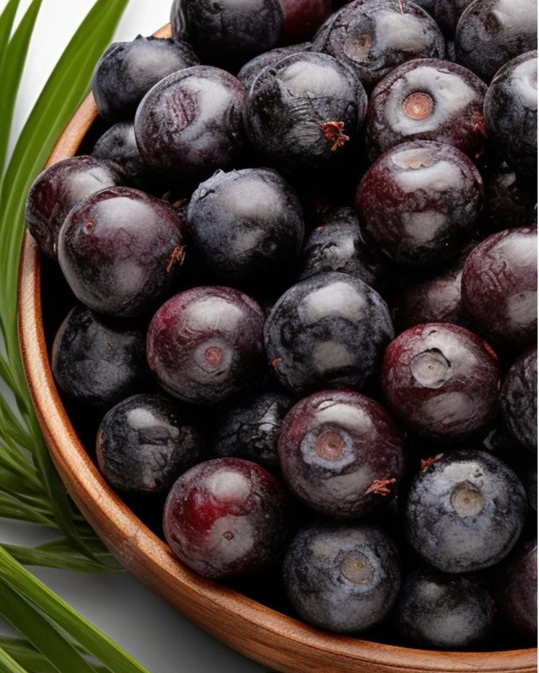 [Belfan]  Colágeno Hidrolizado Belfan Açaí