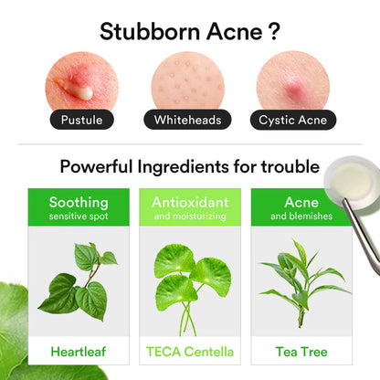 [Abib] Heartleaf Calming Spot patch