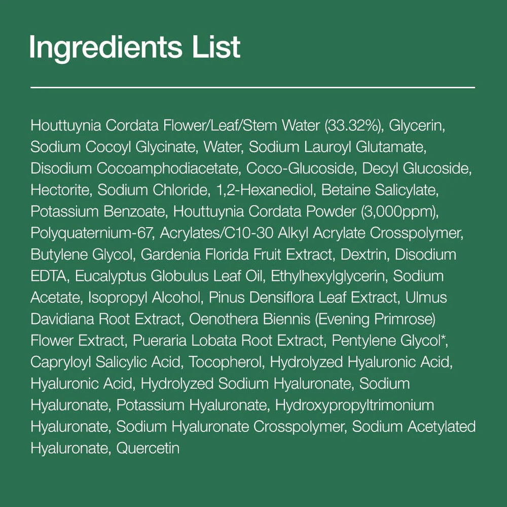 [Anua] Heartleaf Quercetinol Pore Deep Cleansing Foam
