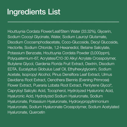 [Anua] Heartleaf Quercetinol Pore Deep Cleansing Foam